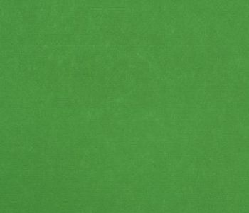 Flamenco rip expotapijt 2 m x 50 m bfl-s1 Hellgrun