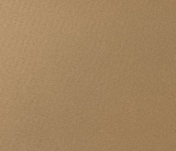 Moquette Aiguilletée de Stand Filmée Beige 2m Cfl-s1