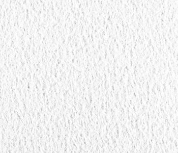 Moquette Recyclable Rewind Filmée Blanche 2m Bfl-s1