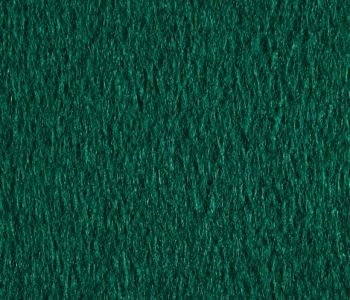Moquette Recyclable Rewind Filmée Vert Sapin 2m Bfl-s1