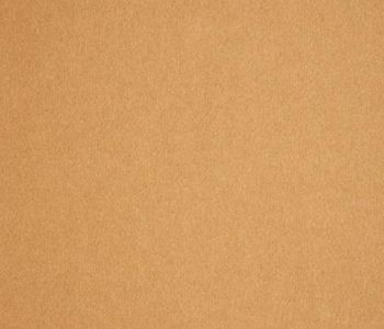 Rev Expo 2m Cfl-s1 Camel