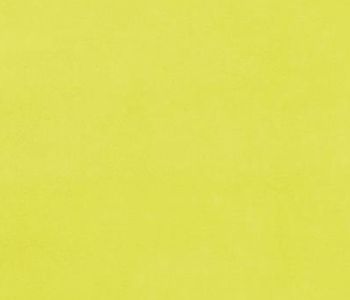 Rev Expo 2m Cfl-s1 Anis