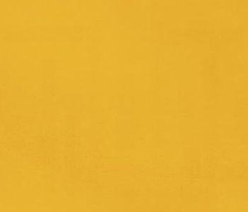 Rev Expo 2m Cfl-s1 Pamplemousse