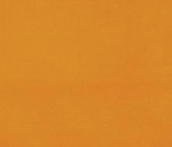 Rev Expo 2m Cfl-s1 Orange