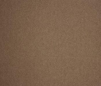 Rev Expo 2m Cfl-s1 taupe