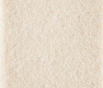 Salsa Filmed Velour Fabric Carpet Agneau 2m Cfl-s1