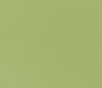 Sol Pvc Acoustisol Vert 2m Bfl-s1