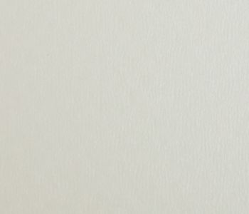 Sol Linoleum Natura Gris Clair 2m Cfl-s1