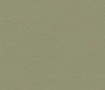 Sol Linoleum Natura Vert Kaki 2m Cfl-s1