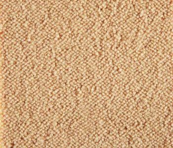 Moquette Epaisse Symphonie Caramel 4m Bfl-s1