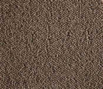 Moquette Epaisse Symphonie Havane 4m Bfl-s1