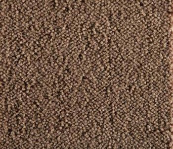 Moquette Epaisse Symphonie Chocolat v1 4m Bfl-s1