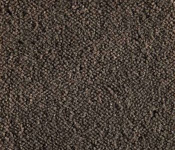 Moquette Epaisse Symphonie Taupe 4m Bfl-s1