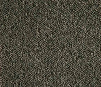 Moquette Epaisse Symphonie Gris Foncé 4m Bfl-s1