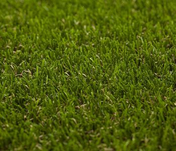 artificial grass elite 6061