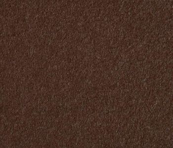 Moquette Recyclable Expostyle Marron 2m Bfl-s1