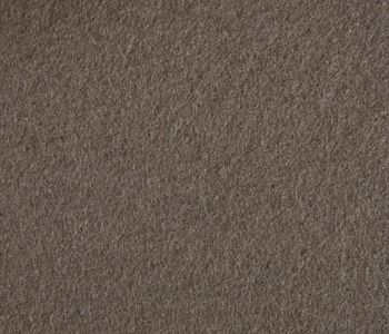 Moquette Recyclable Expostyle Taupe 2m Bfl-s1