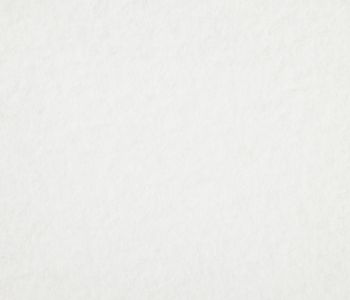 Moquette Recyclable Expostyle Blanc 2m Bfl-s1