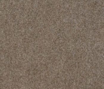 Heavy Duty Carpet Mode 1153 beige 4m