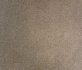 Moquette Noblesse beige fonce - col 34 - 4m Cfl-s1