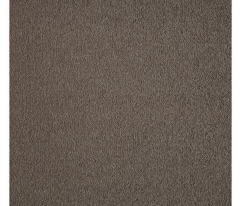 Moquette Noblesse marron - col 42 - 4m Cfl-s1
