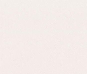 PVC Vinyl Flooring Party white 2m