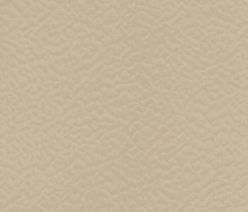 Sol Sportif Intérieur TARAFLEX Beige