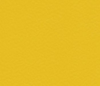 Sol Sportif Intérieur TARAFLEX Gold