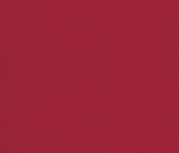 Sol Sportif Intérieur TARAFLEX Red