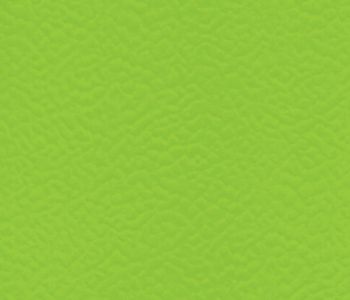 Sol Sportif Intérieur TARAFLEX Spring