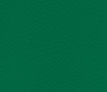 Sol Sportif Intérieur TARAFLEX Forest