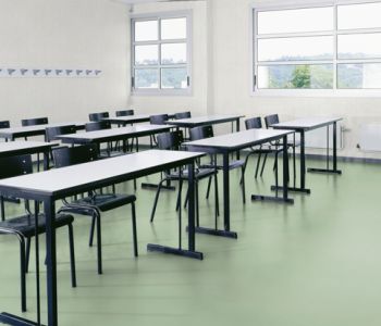 Sol TARALAY Impression Confort 33 Uni Light Green