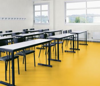 Sol TARALAY Impression Confort 33 Uni Yellow