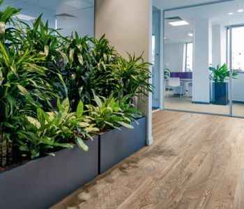 Sol TARALAY Impression Confort 43 Wood Nature