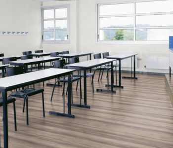 Sol TARALAY Impression Compact 33 Sycamore Light Brown 2m