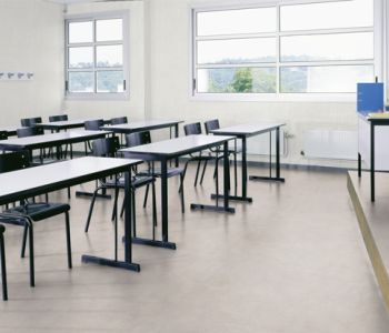 Sol TARALAY Impression Compact 33 Cemento Roma 2m