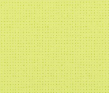 Sol TARALAY Impression Compact 33 Kubes Anis 2m