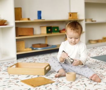 Sol TARALAY Impression Compact 43 Envol Forest