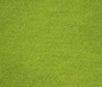 Velour Carpet Windsor Anis 2m