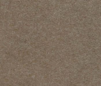 Velour Carpet Windsor beige 2m