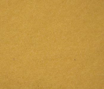 Velour Carpet Windsor Pamplemousse 2m